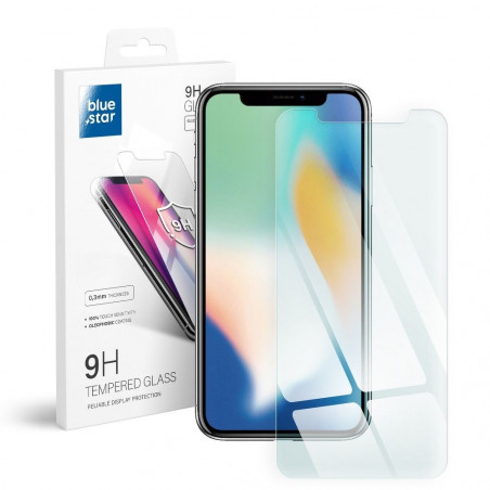 Apple iPhone X Verre trempé Blue Star 9H Transparent