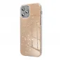 Samsung Galaxy S25 Ultra Coque Shining Or